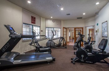 On-Site Community Fitness Center at Cinnamon Tree Apartments in Albuquerque, MN